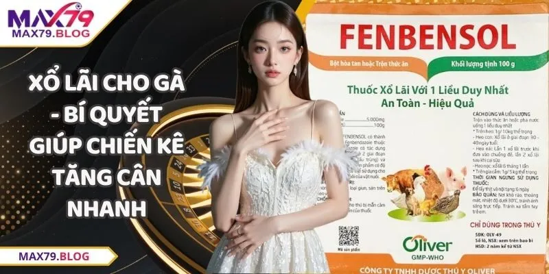 Xổ lãi cho gà