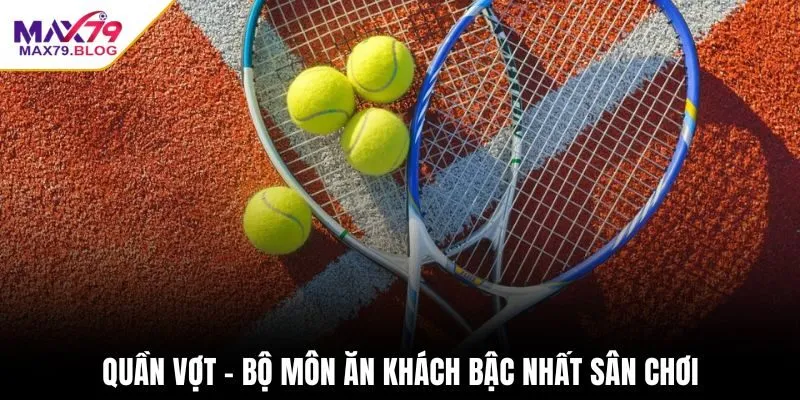 Quần vợt - Bộ môn ăn khách bậc nhất sân chơi